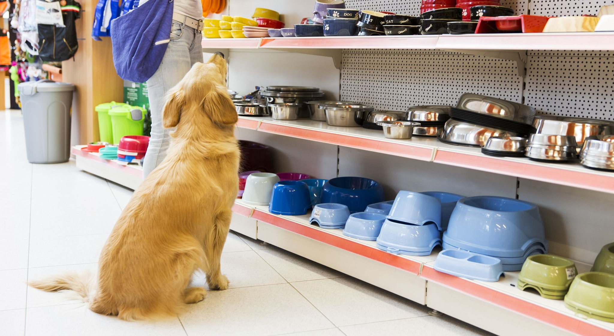 banner-petshop-solucoes-cds-sistemas